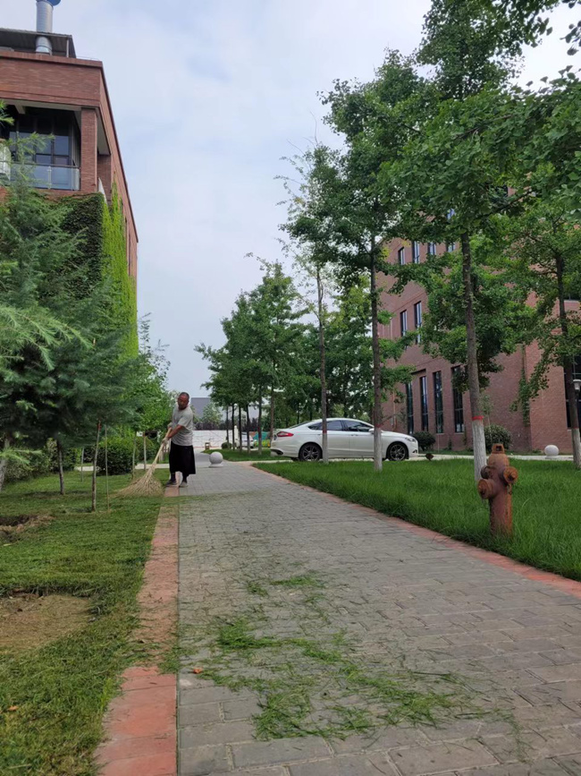 长信科技产业园 长信科技产业园