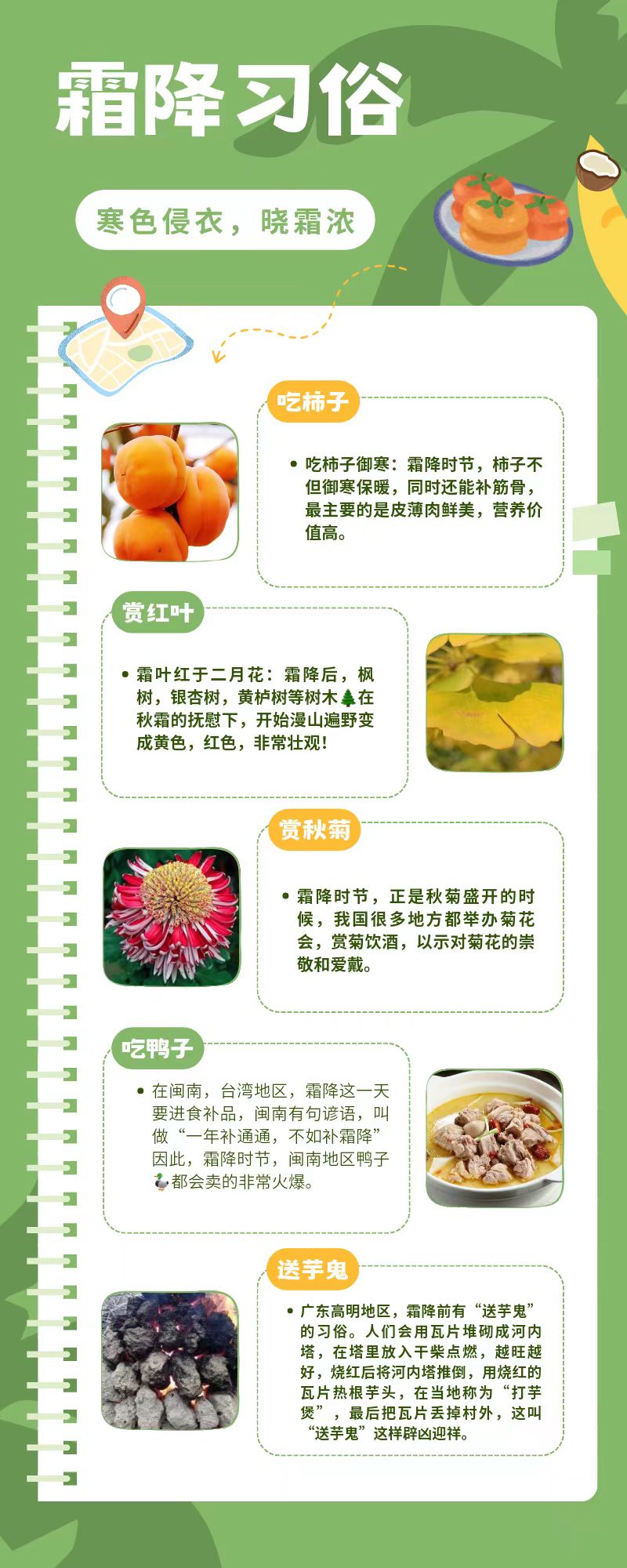 长信科技产业园 长信科技产业园